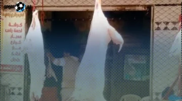 أسعار اللحوم في مطروح تتجاوز 400 جنيه للكيلو السبت 1-11-2025